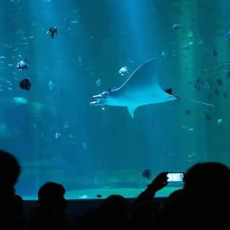 Oslo Au Cœur De La Appartamento